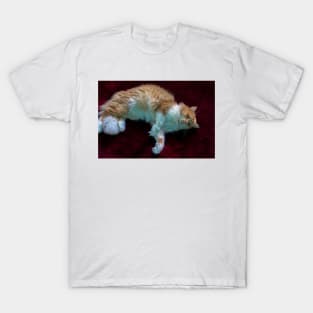 cat lying in red T-Shirt